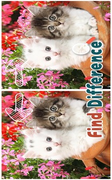 Find 5 Difference : Cats游戲截圖3