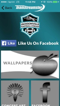 Jacksonville Football STREAM游戲截圖5