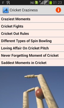 Cricket Craziness游戲截圖1