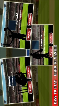 Ultimate Power Cricket游戲截圖4