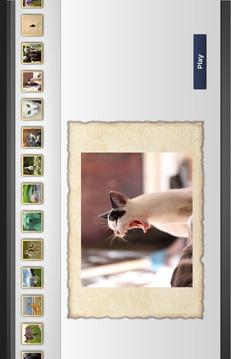 Jigsaw Puzzles Animals World游戲截圖1