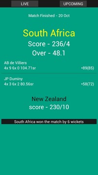 Cricket Live Score游戲截圖1
