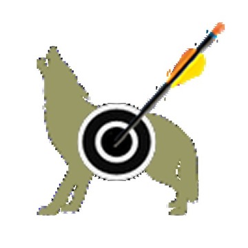 Archery Score Master Pro游戲截圖1