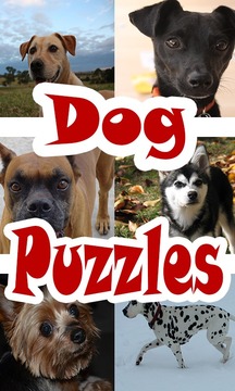 Sliding Dog Puzzles游戲截圖1