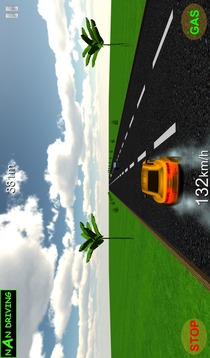 NaN Driving游戲截圖1