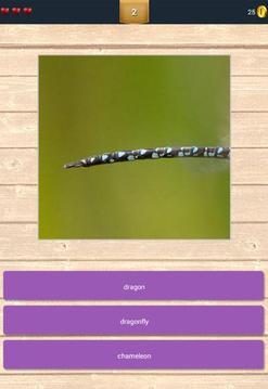 Animals Tails Quiz游戲截圖2