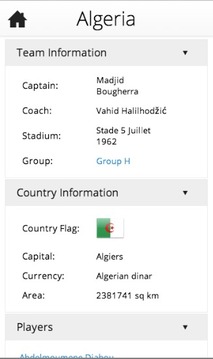 Brazil Football World Cup 14游戲截圖5