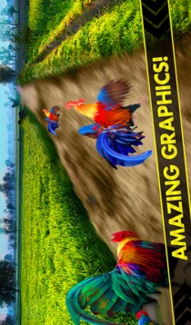 Rooster Race and Run Game游戲截圖4