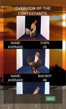 Crowing Rooster game游戲截圖2
