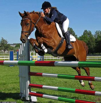 Horse Show Jumping App游戲截圖1