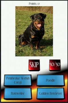 Dog Breed Picture Quiz游戲截圖3