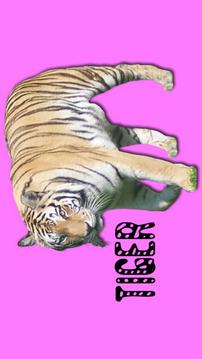 Toddler Animal Sounds - Roars!游戲截圖1
