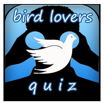 Bird Lovers Quiz游戲截圖1