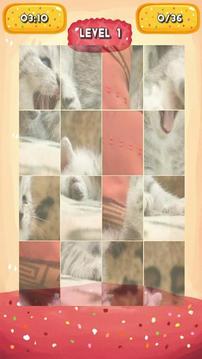 Silvery Kitten Jigsaw Puzzle游戲截圖3