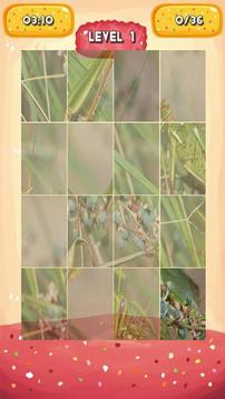 Grasshopper Jigsaw Puzzles游戲截圖3