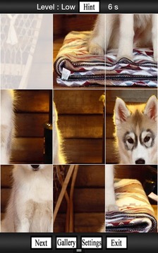 Cute Dogs, Puppies Jigsaw Game游戲截圖2