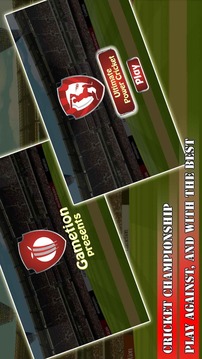 Ultimate Power Cricket游戲截圖5