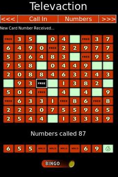 Phone Number Bingo游戲截圖2