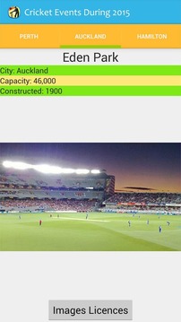 Cricket Events During 2015游戲截圖4