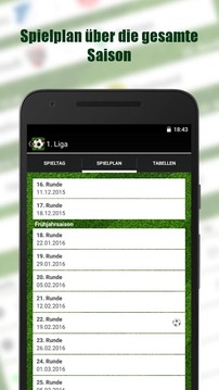Goal Alarm! Germany游戲截圖2
