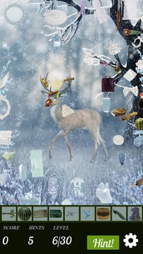 Hidden Object - Spring Thaw游戲截圖3