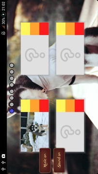 Husky Puzzle游戲截圖4
