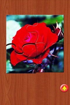 Flowers Jigsaw Puzzle游戲截圖1