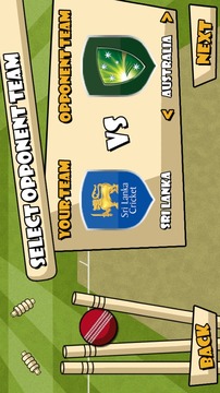 LionsRoar cricket game游戲截圖2