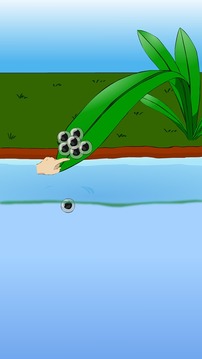 My Pet Frog游戲截圖1