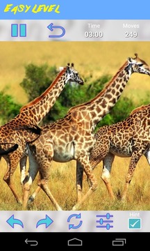 Animals Jigsaw Puzzle游戲截圖4