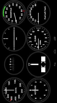DCS P-51D Instruments游戲截圖3