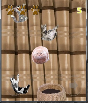 Falling Сats Saving Barsik游戲截圖5