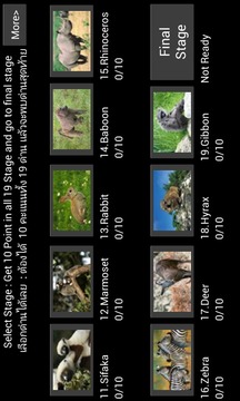 World Mammal - Animal Quiz游戲截圖3