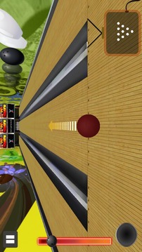 Real Ten Pin Bowling 3D游戲截圖5