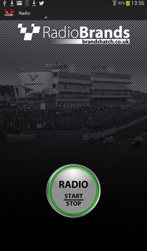 Brands Hatch LIVE!游戲截圖4