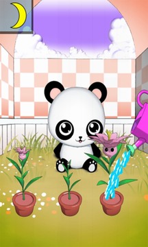 My Lovely Panda游戏截图5