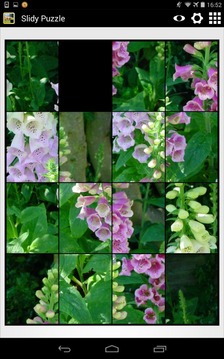 Slidy: Sliding Puzzle游戲截圖5