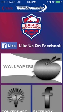 Buffalo Football STREAM游戲截圖5