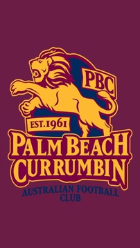 Palm Beach Currumbin AFC游戲截圖1