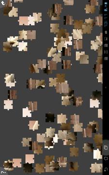 Dogs Jigsaw Puzzles游戲截圖3