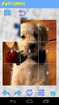 Puppies Jigsaw Puzzles游戲截圖2