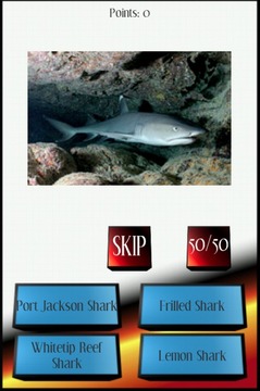Sharks Picture Quiz游戲截圖3