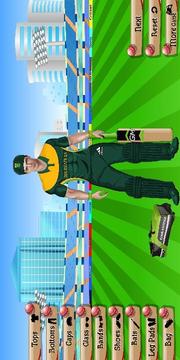 Cricket Team DressUp游戲截圖4