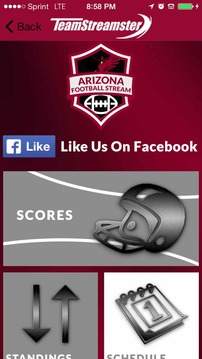 Arizona Football STREAM游戲截圖2