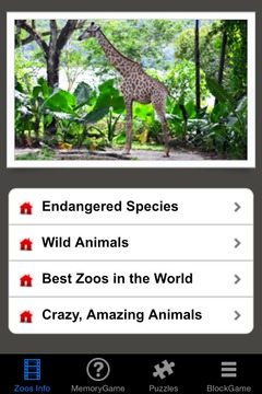 Zoo Animals Story游戲截圖1