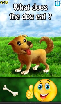 Smart KID - Animals游戲截圖3