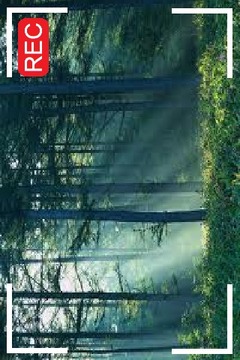 Slender - Jeff The Killer LIVE游戲截圖1