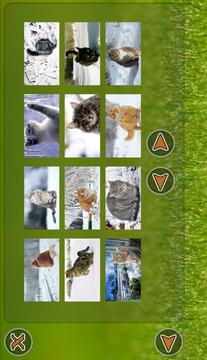 Cats Puzzle游戲截圖3