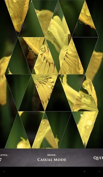 PuzzleSwap - Flower Flippin游戲截圖4