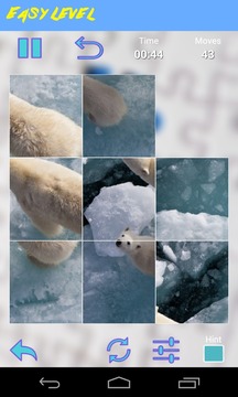 Bear Jigsaw Puzzle游戲截圖5